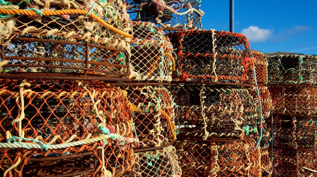 Apollo Bay Harbour featuring fishing