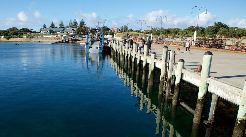 Porto di Apollo Bay mostrando vista della costa e baia e porto