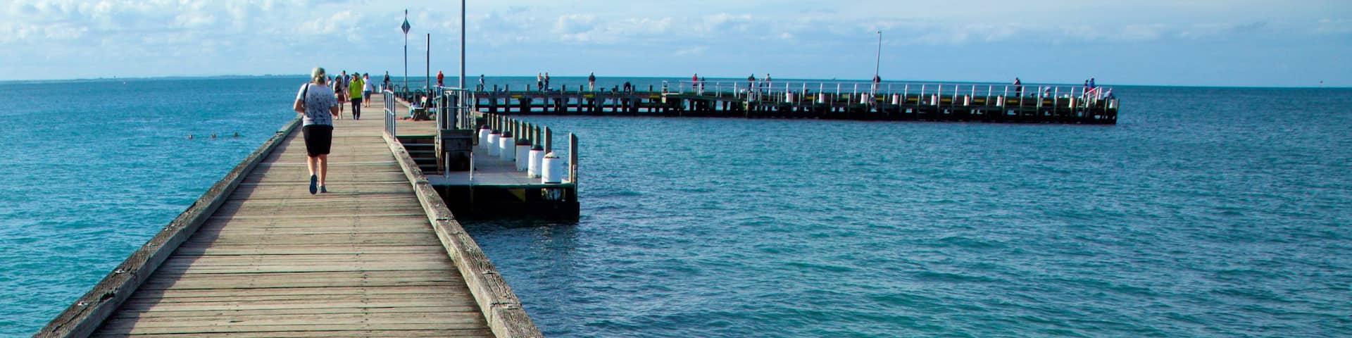 Portsea Pier showing general coastal views