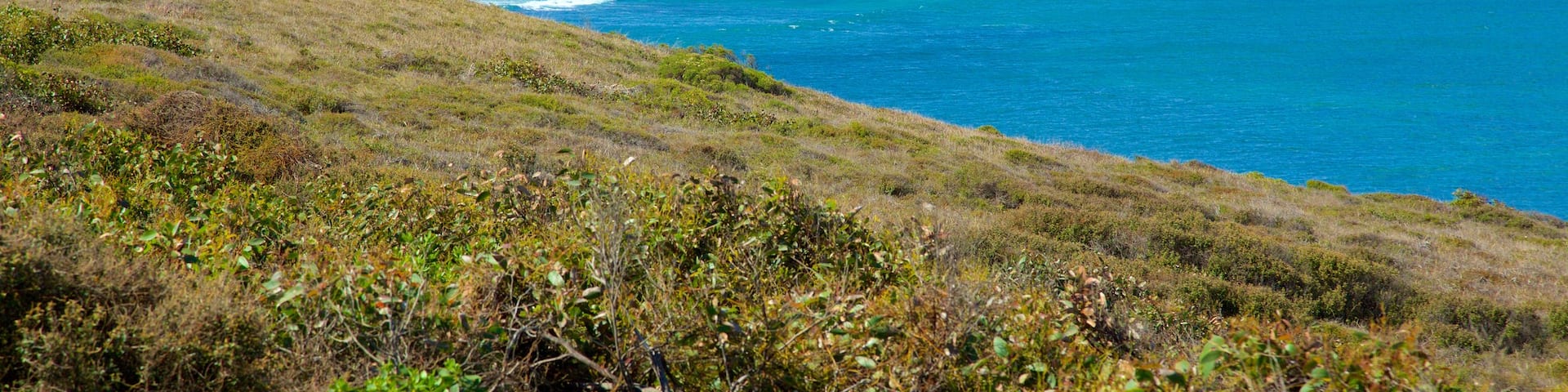 Bell\'s Beach featuring landscape views and rugged coastline