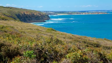 Bell\'s Beach que incluye costa escarpada y vista panorámica