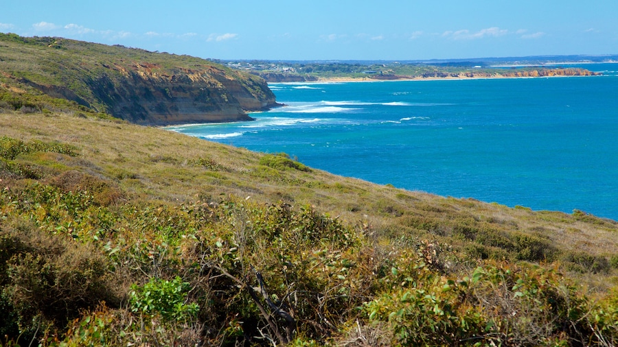 Bell\'s Beach toont landschappen en ruige kustlijn