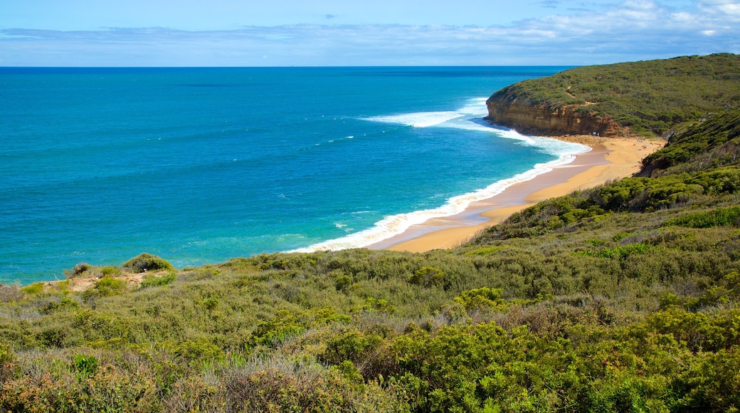 Bell\'s Beach which includes a bay or harbour and landscape views