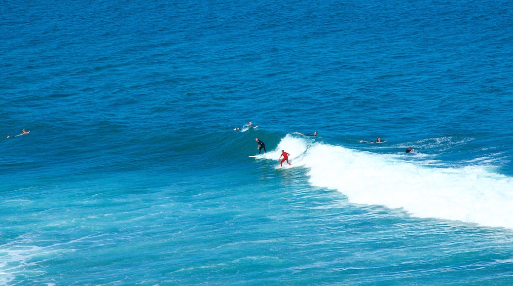 Bell\'s Beach showing waves and surfing