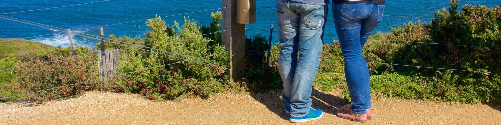 Bell\'s Beach which includes general coastal views as well as a couple