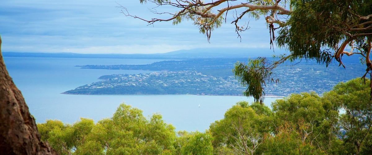 Melbourne which includes forests and general coastal views