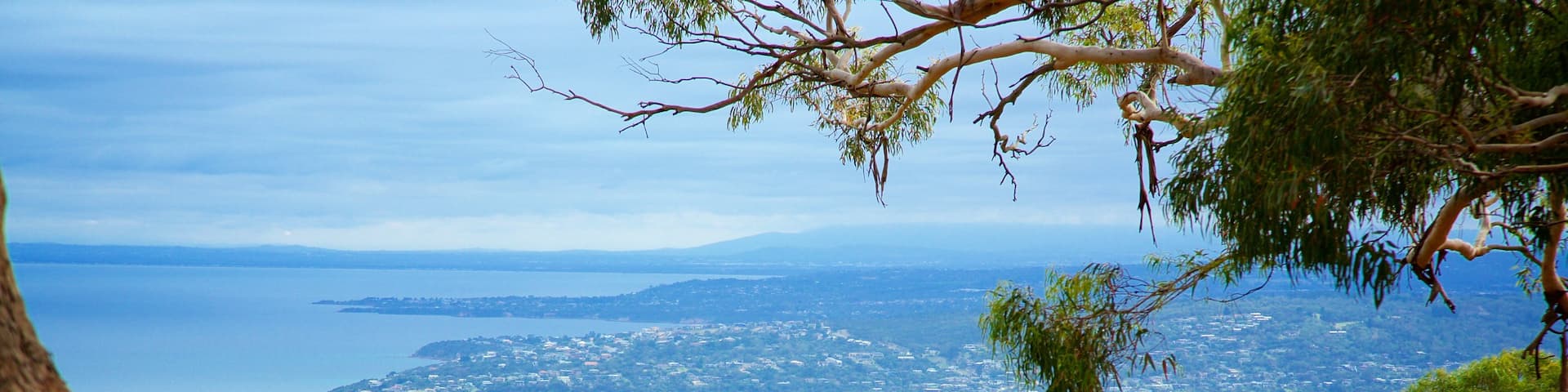 Melbourne which includes general coastal views and forest scenes