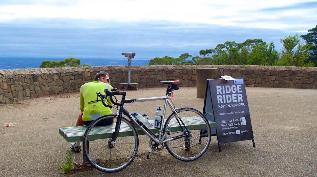 Melbourne featuring road cycling as well as an individual male