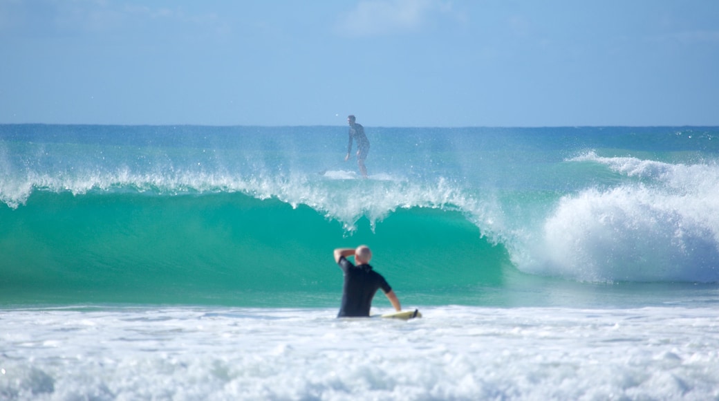 Great Ocean Road showing waves and surfing as well as an individual male