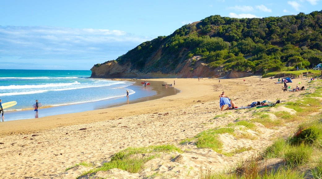 Great Ocean Road which includes a beach and a bay or harbor