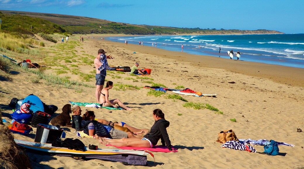 Great Ocean Road showing a bay or harbor and a beach as well as a small group of people