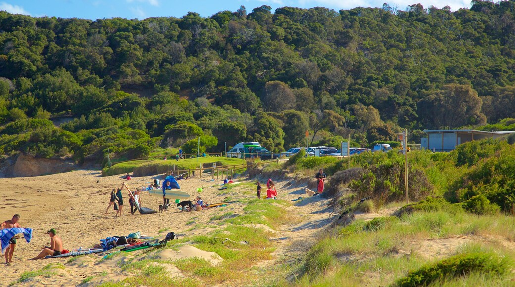 Great Ocean Road showing general coastal views as well as a large group of people