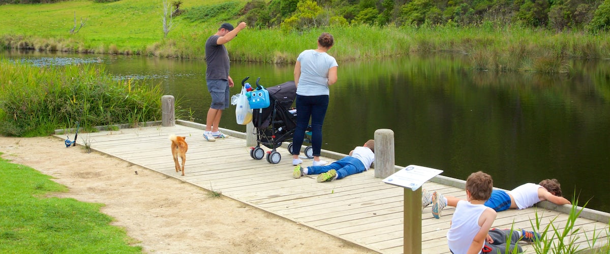 Great Ocean Road inclusief een rivier of beek en ook een gezin