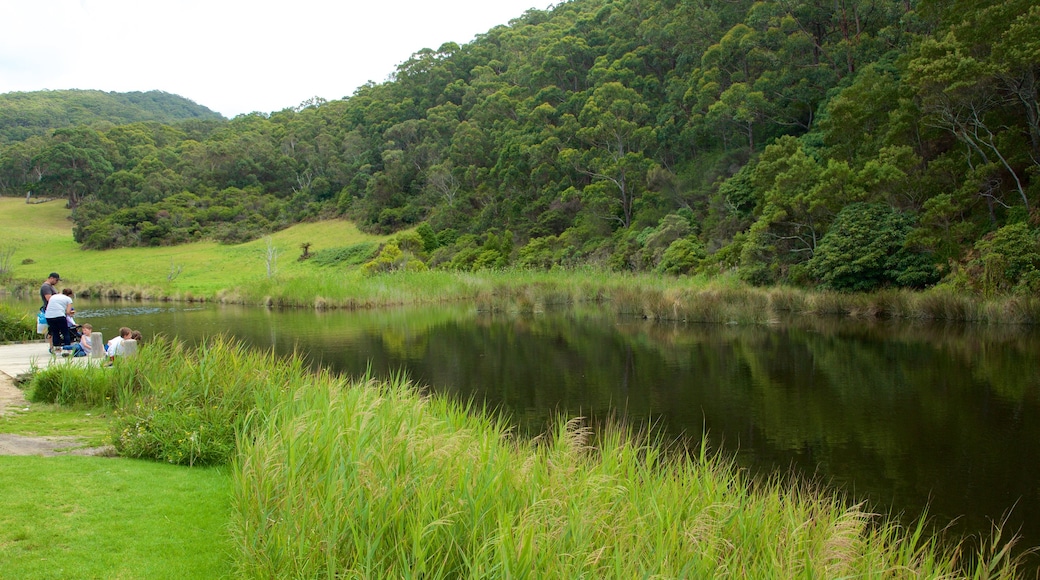 Great Ocean Road showing a river or creek