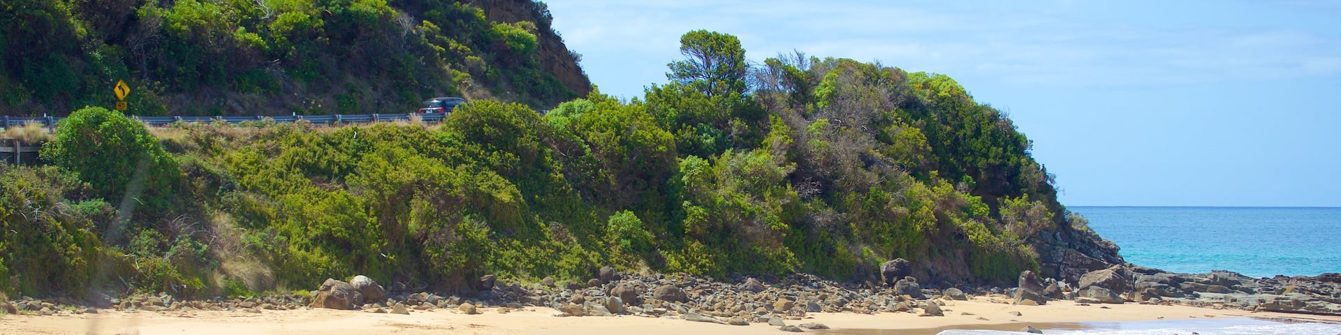 Great Ocean Road which includes a sandy beach