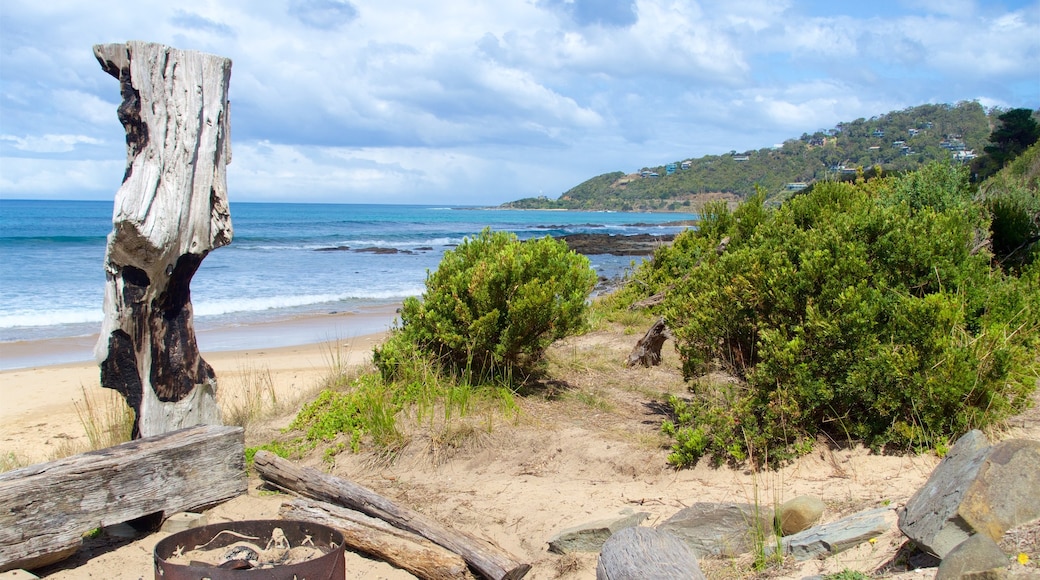 Great Ocean Road showing general coastal views