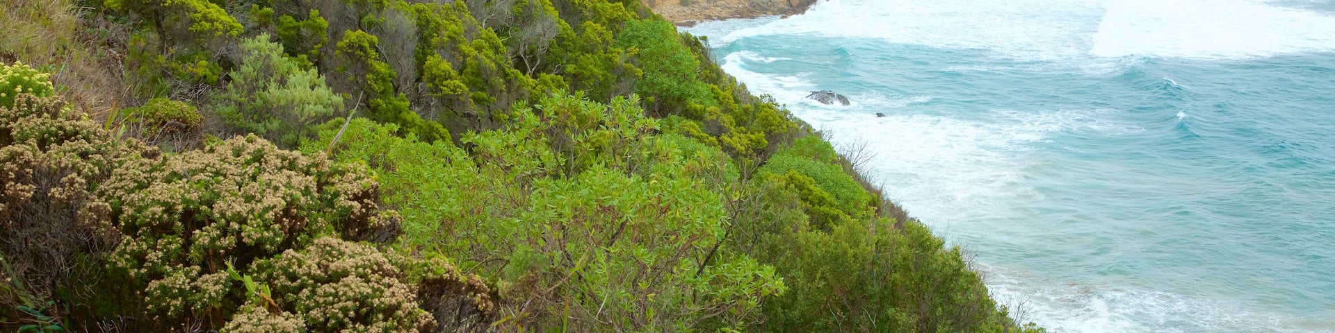 Apollo Bay mit einem FelskĂŒste und Berge
