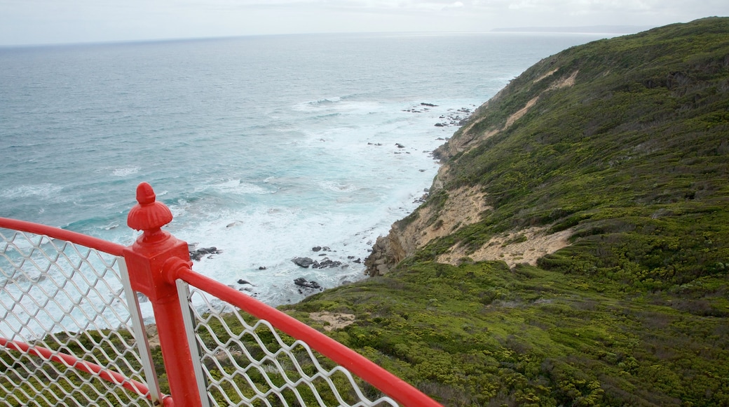 Apollo Bay showing rugged coastline and views