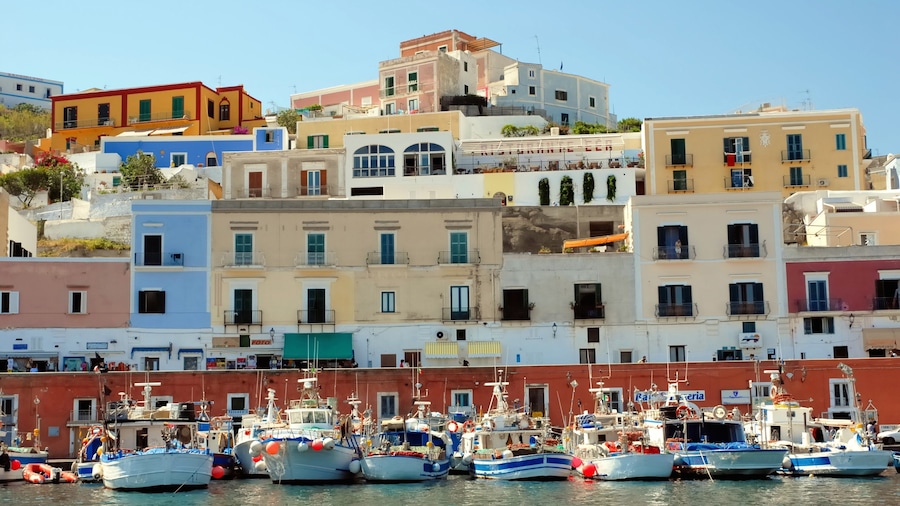 Ponza showing general coastal views, boating and a coastal town