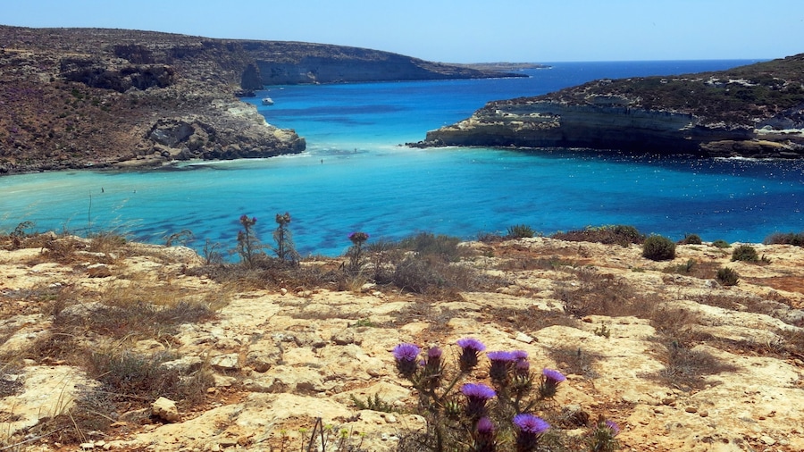 Lampedusa featuring a gorge or canyon, general coastal views and rocky coastline