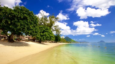 Flic-en-Flac showing a sandy beach