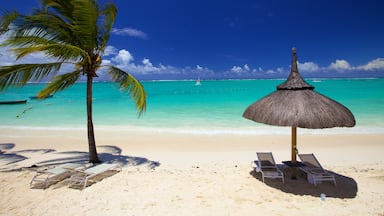 Belle Mare mettant en vedette plage de sable et hôtel ou complexe de luxe