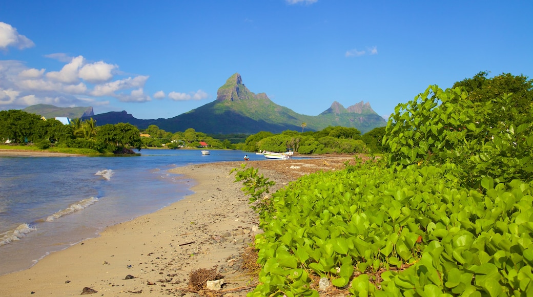 Tamarin que incluye montañas y una playa de arena