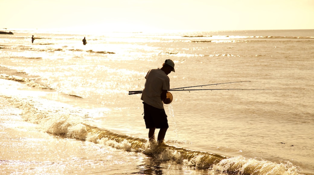 Tamarin which includes fishing, general coastal views and a sunset