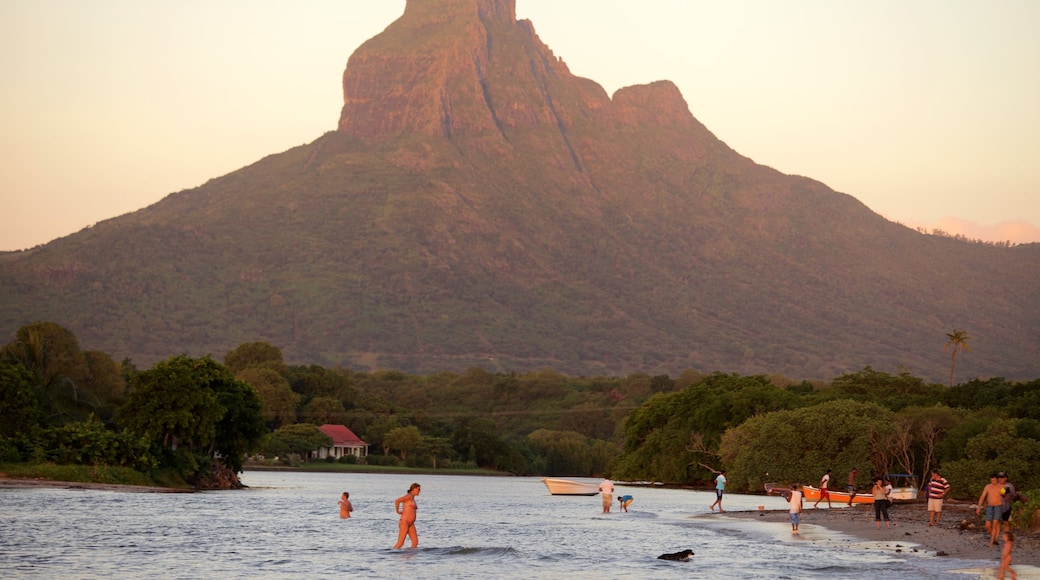 Tamarin showing swimming, a sunset and mountains