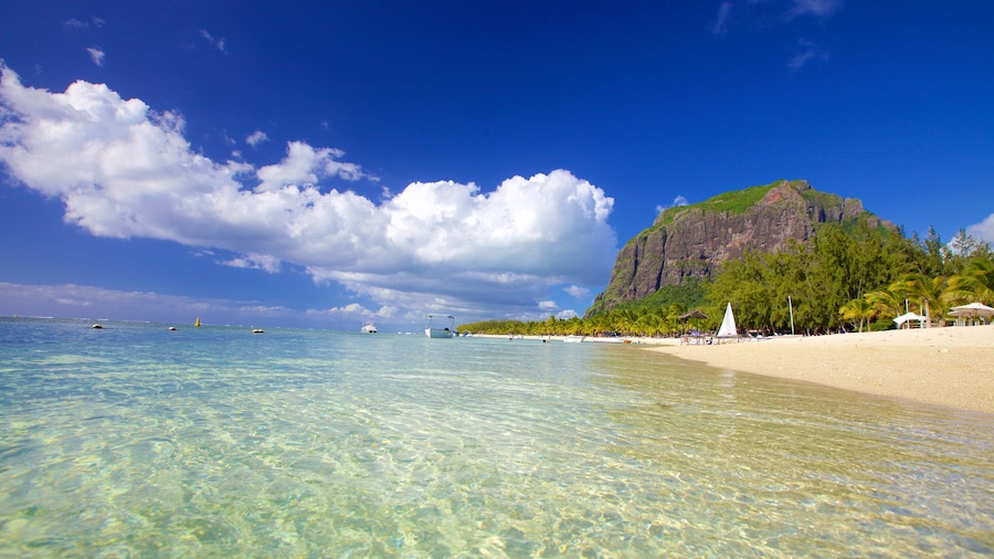 Le Morne which includes a sandy beach and general coastal views