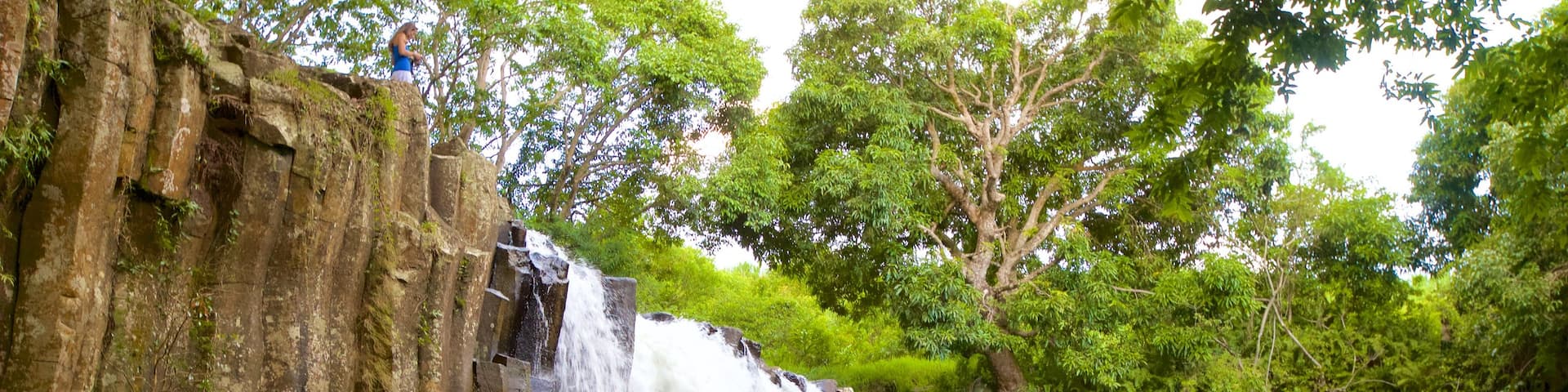 Black River Gorges National Park featuring a lake or waterhole, a gorge or canyon and a waterfall