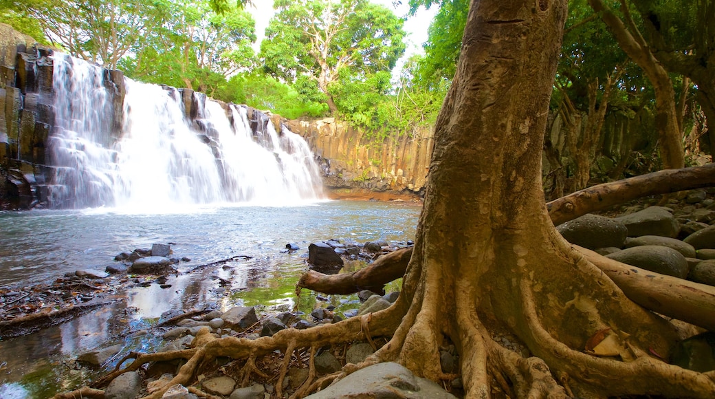 Black River Gorges National Park mostrando un río o arroyo y una cascada