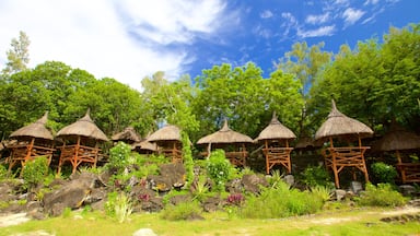 Ile aux Cerfs Beach showing tropical scenes