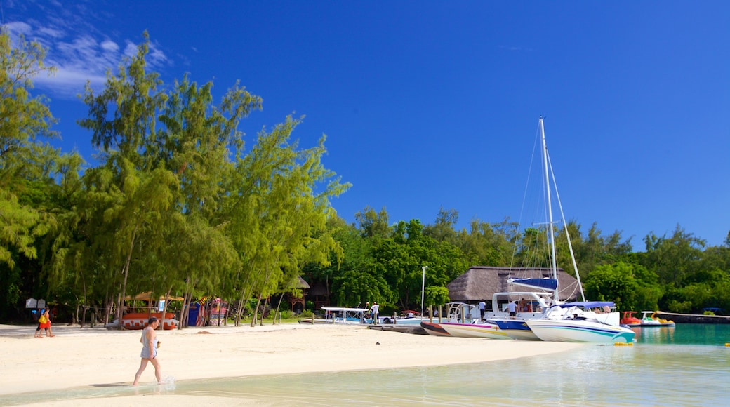 Ile aux Cerfs Beach mostrando botes, escenas tropicales y una playa