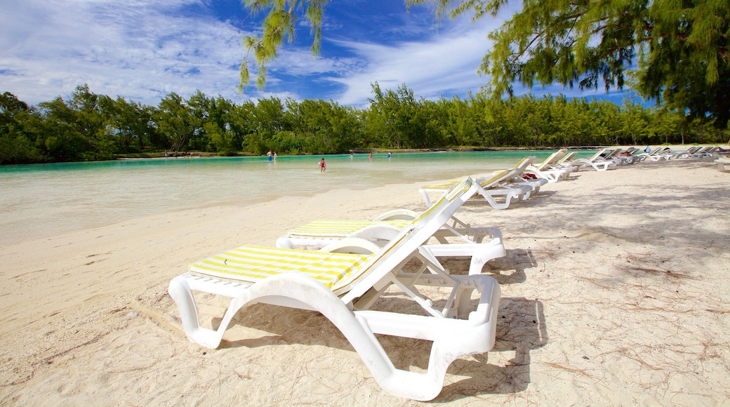 Ile aux Cerfs Beach showing a sandy beach