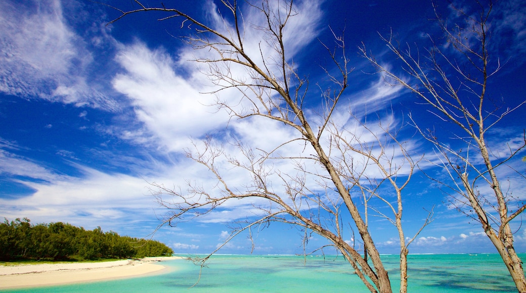 Ile aux Cerfs-stranden som inkluderar en strand