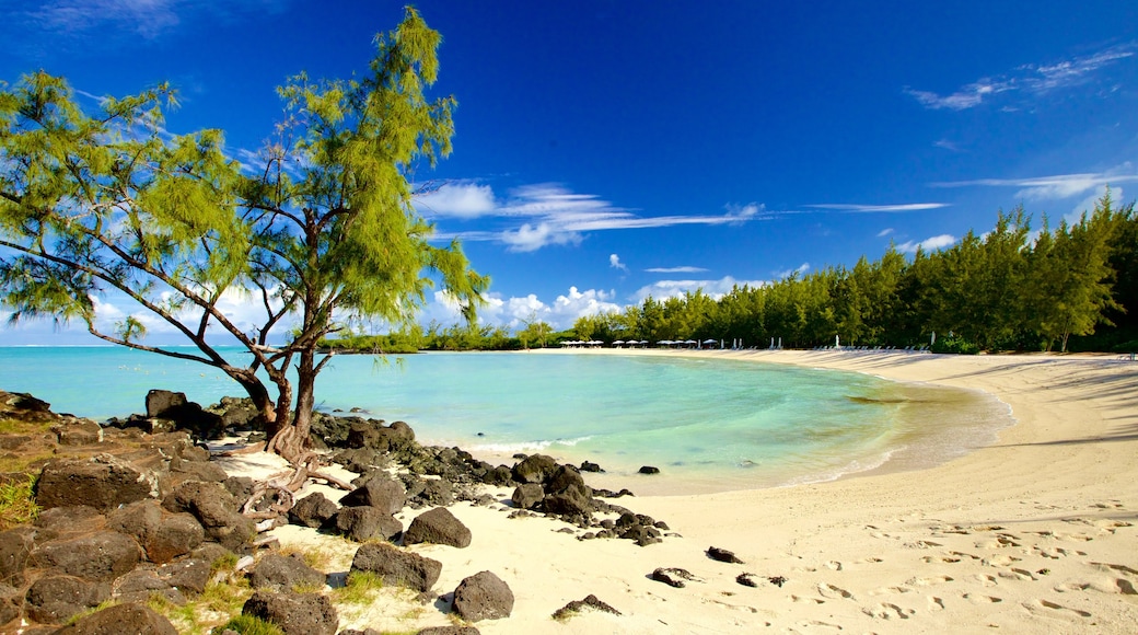 Ile aux Cerfs Beach que incluye una bahía o un puerto y una playa de arena