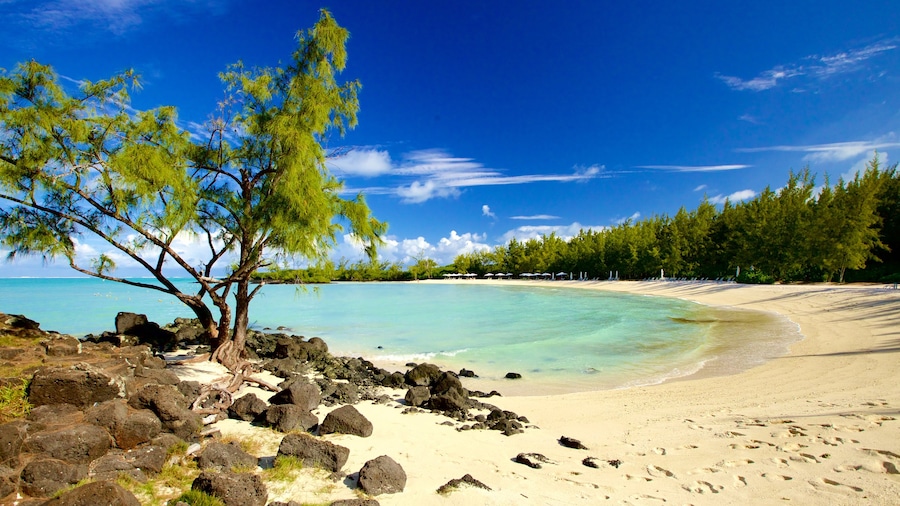 Ile aux Cerfs Beach showing a sandy beach and a bay or harbour