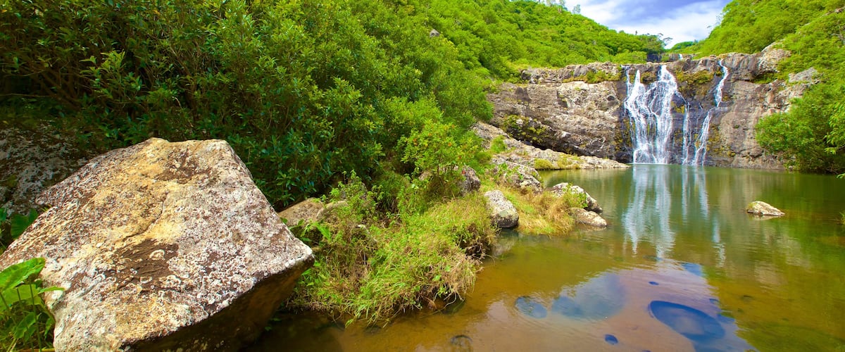 Tamarind Falls que incluye un barranco o cañón, una cascada y un lago o abrevadero