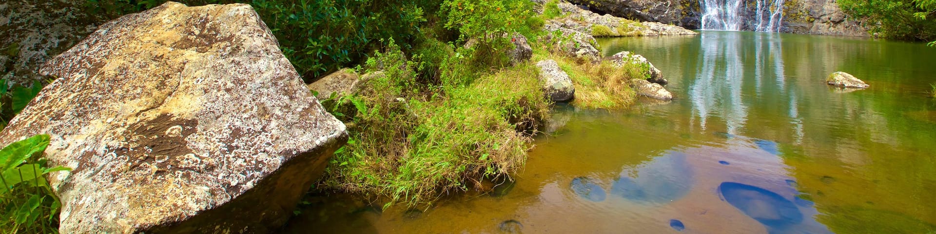 Tamarind Falls showing a waterfall, a lake or waterhole and a gorge or canyon