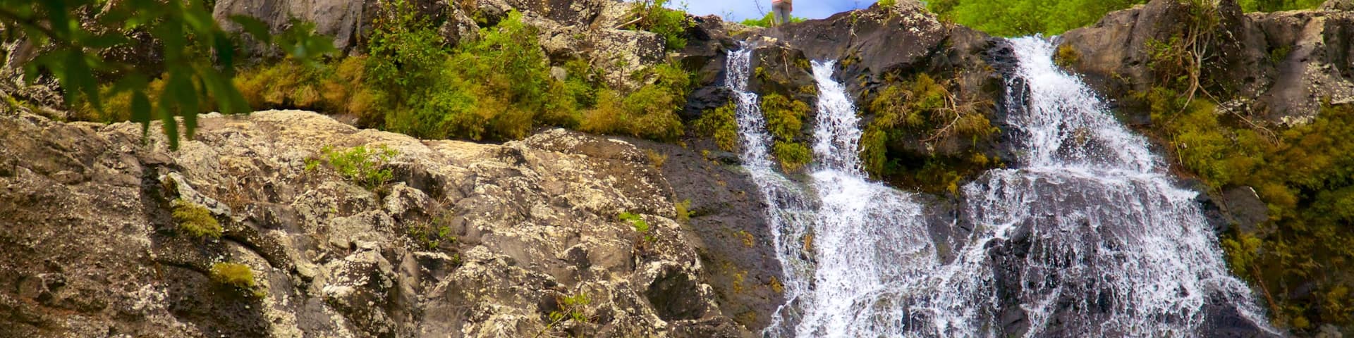 Tamarind Falls showing a gorge or canyon and a waterfall