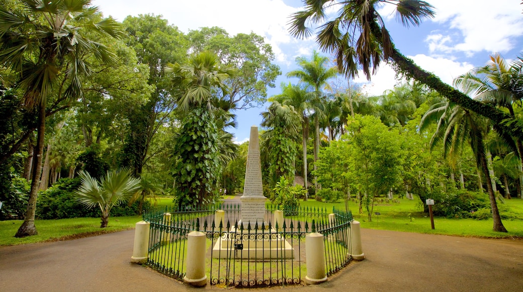 Jardim Botânico de Pamplemousses mostrando um jardim