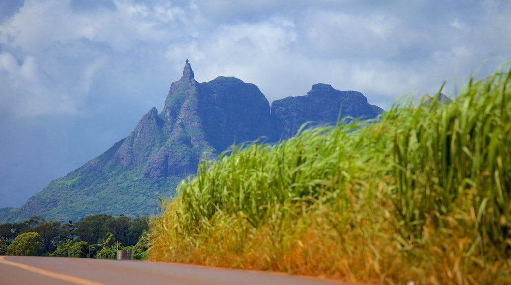 Pieter Both Mountain showing touring and mountains