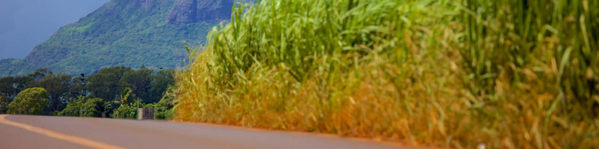 Pieter Both Mountain featuring touring and mountains