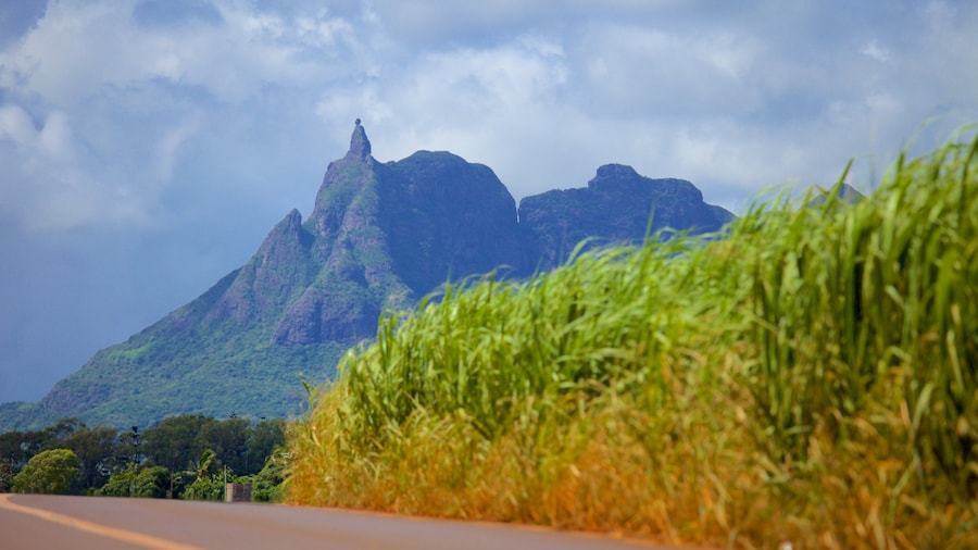 Pieter Both Mountain featuring touring and mountains