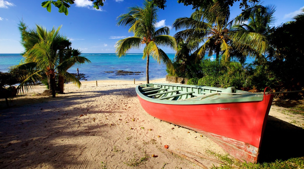 Mauritius which includes a sandy beach and tropical scenes