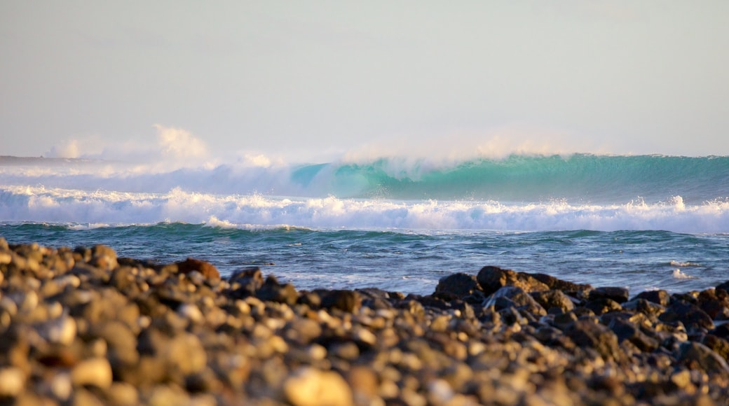 Ilha da Reunião mostrando ondas e uma praia de pedras