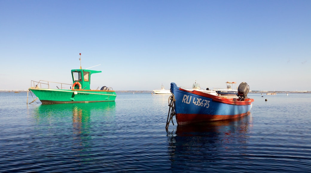 L\'Étang-Salé les Bains mettant en vedette vues littorales