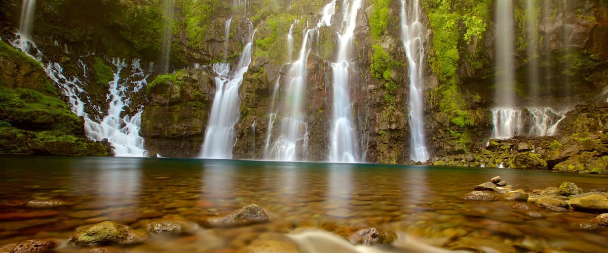 Reunion which includes a lake or waterhole and a waterfall