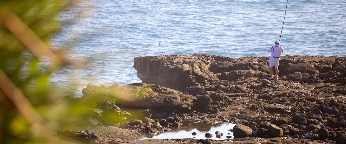 Cape Mechant caracterizando pesca e paisagens litorâneas assim como um homem sozinho